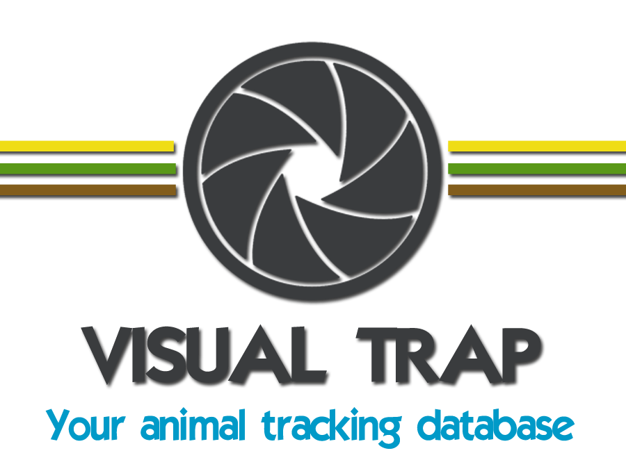 logo visual trap