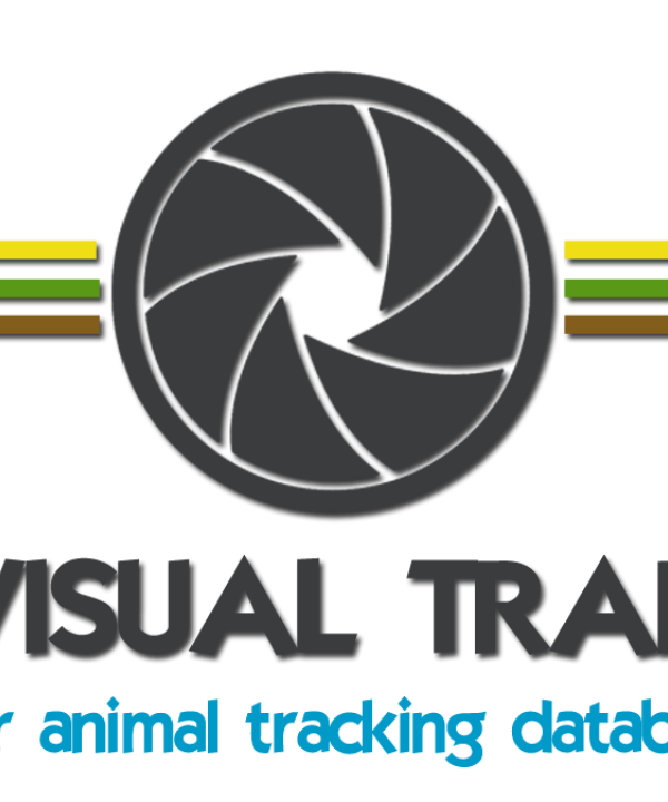 logo visual trap